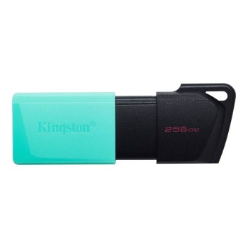 Kingston - Pendrive 256 GB...