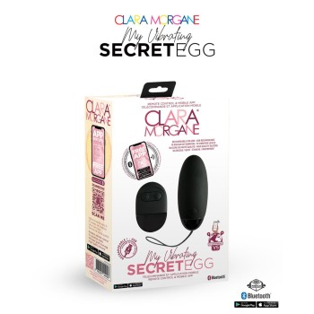 My Vibrating Secret EGG...