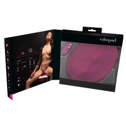 vibepad remote controlled
