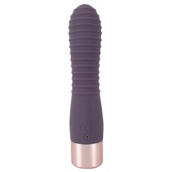Elegant Vibrator Flexy Vibe