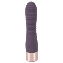 Elegant Vibrator Flexy Vibe