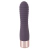 Elegant Vibrator Flexy Vibe