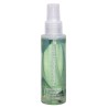 Spray czyszczący dezynfekujący fleshlight 100ml