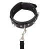 Obroża ze smyczą ćwieki zestaw bdsm bondage sex