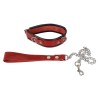 Leather Collar and Leash