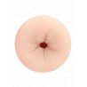 Self Lubrication Masturbator Anal - Flesh
