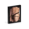 Adjustable jockstrap (Size: TU)