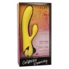 San Diego Seduction Yellow