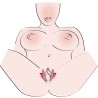 Intimate Spreader Li