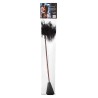 Pejcz-SCANDAL FEATHER CROP